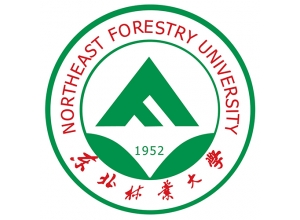 黑龍江成人高考學校